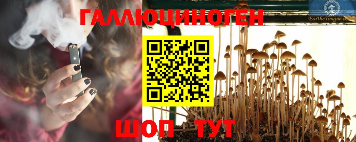 Галлюциногенные грибы ЛСД Тулун